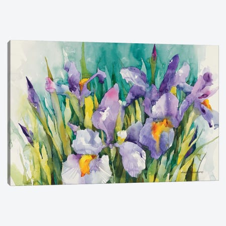 Purple Irises Canvas Print #BKK122} by Annelein Beukenkamp Art Print