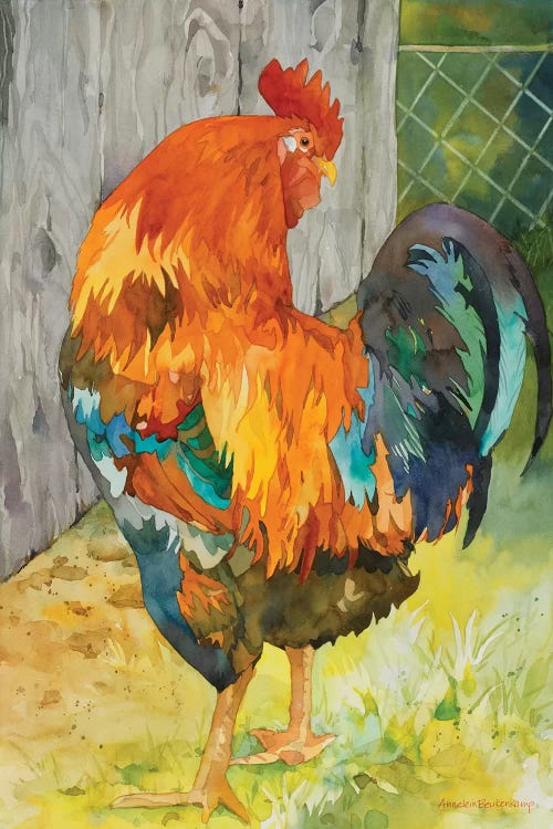 Rooster Pen by Annelein Beukenkamp canvas print