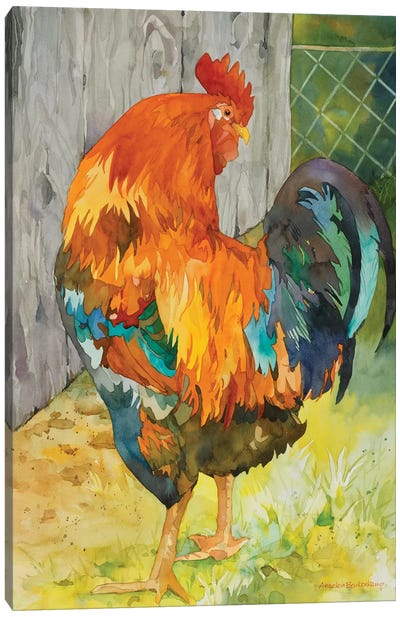 Rooster Pen Canvas Art Print - Chicken & Rooster Art