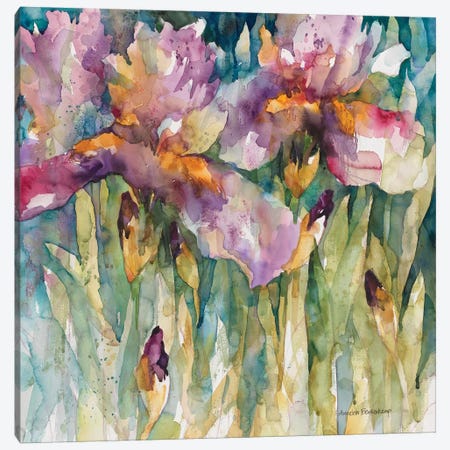 Siberian Iris Canvas Print #BKK142} by Annelein Beukenkamp Canvas Art Print