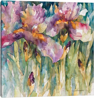 Siberian Iris Canvas Art Print - Iris Art