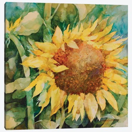 Sunflower Canvas Print #BKK166} by Annelein Beukenkamp Canvas Artwork