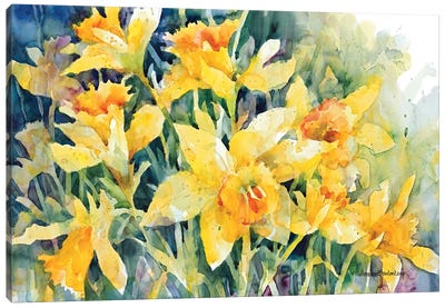 Daffodil Party Canvas Art Print - Wildflowers