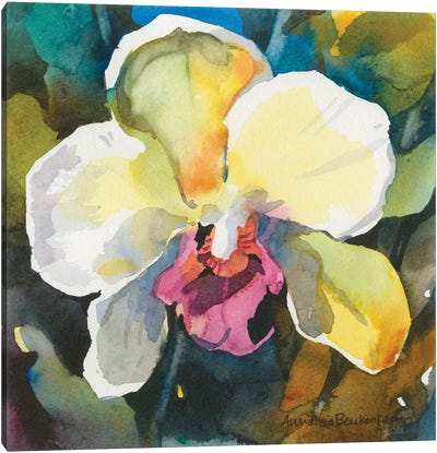 Elegance Canvas Art Print - Orchid Art