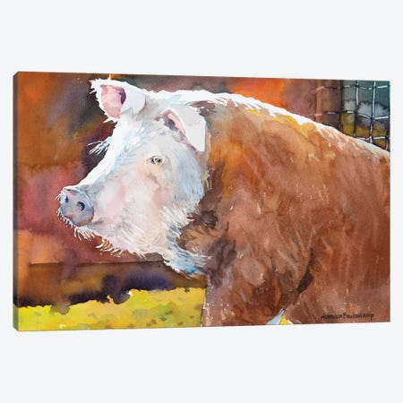Farmers Hog Canvas Print #BKK46} by Annelein Beukenkamp Canvas Artwork
