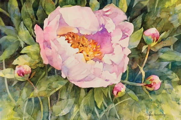 Peonies: Flowers by Annelein Beukenkamp