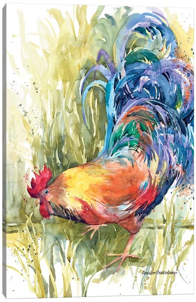 Fountain Of Feathers Canvas Art Print - Chicken & Rooster Art