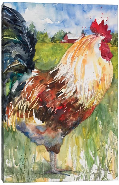 Majestic Canvas Art Print - Chicken & Rooster Art