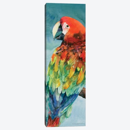 Parrot Canvas Print #BKK99} by Annelein Beukenkamp Canvas Artwork