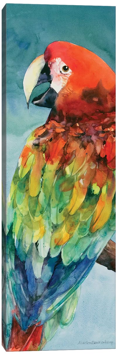 Parrot Canvas Art Print - Annelein Beukenkamp