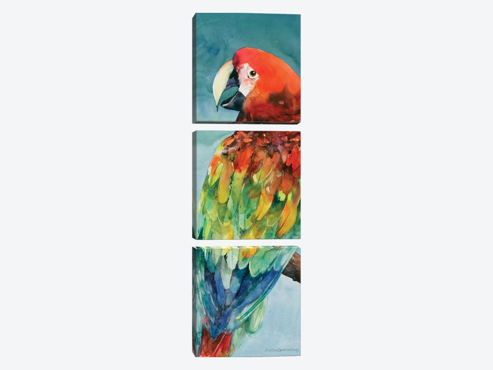 Parrot by Annelein Beukenkamp 3-piece Canvas Wall Art