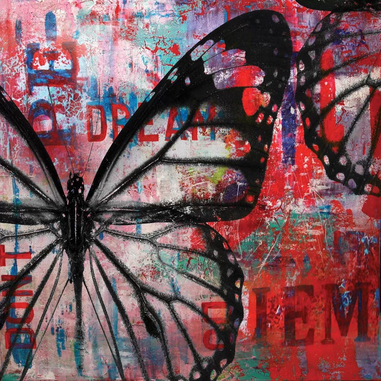 Butterfly IV