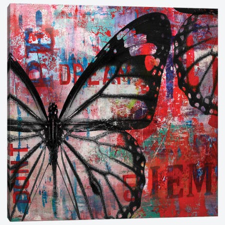 Butterfly IV Canvas Print #BKR10} by Micha Baker Art Print