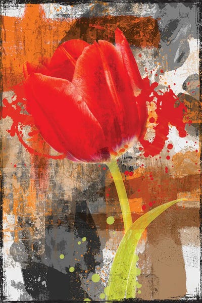 Micha Baker - Canvas Prints: Red Tulip