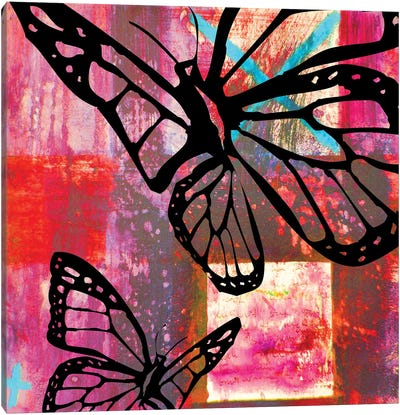 Butterfly II Canvas Art Print - Micha Baker