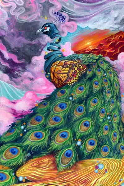 Swartz Brothers Art: Pretty Pimpin' by Swartz Brothers Art