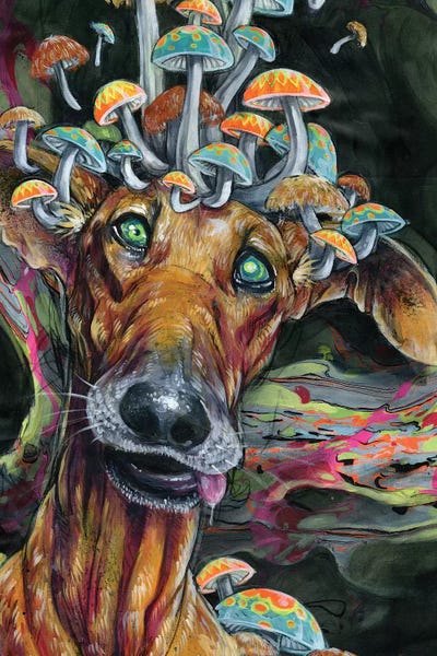 Swartz Brothers Art: Dwight's Den by Swartz Brothers Art