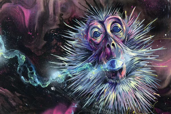 Monkeys: Light Trails by Swartz Brothers Art