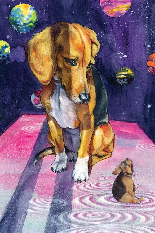 Self Reflection by Swartz Brothers Art wall art