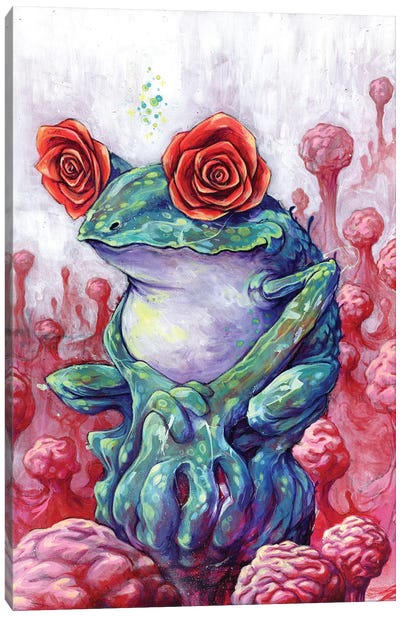 The Reason You Dream Canvas Art Print - Frog Art