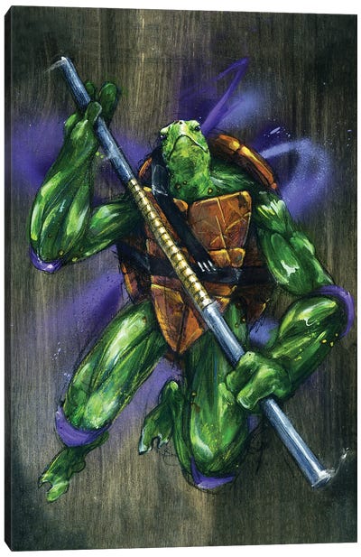 TMNT Donatello Canvas Art Print - Teenage Mutant Ninja Turtles