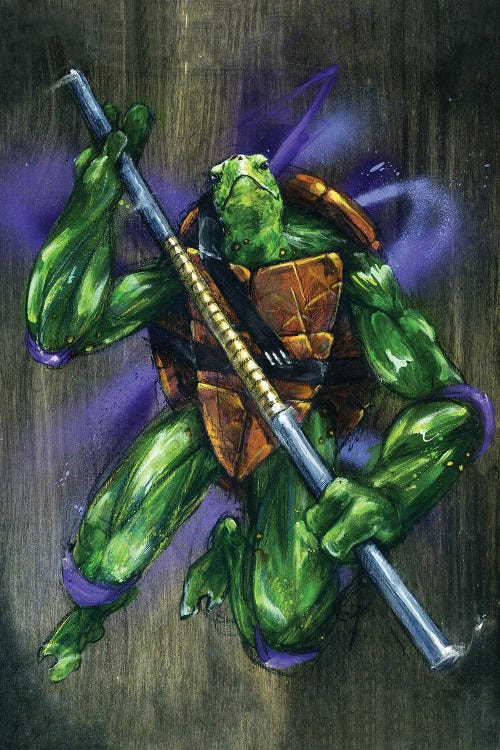 TMNT Donatello