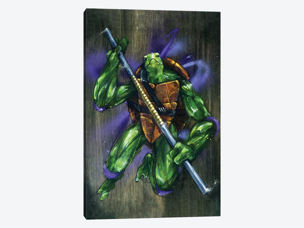 TMNT Donatello by Swartz Brothers Art 1-piece Canvas Artwork