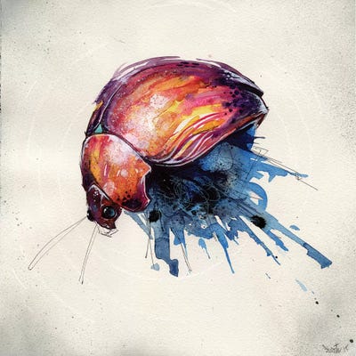 Beetle Juice III by Swartz Brothers Art canvas print