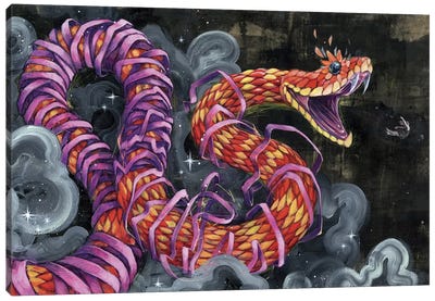 Black Flies Change Colors Canvas Art Print - Snakes