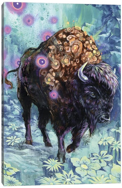 Buffalo Bloom Canvas Art Print - Swartz Brothers Art