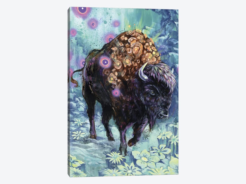 Buffalo Bloom by Swartz Brothers Art 1-piece Canvas Artwork
