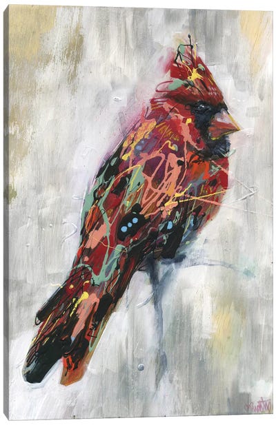 Ezra's Feathers Canvas Art Print