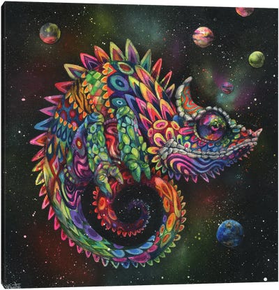 Rainbow Herbert Canvas Art Print - Psychedelic Animals