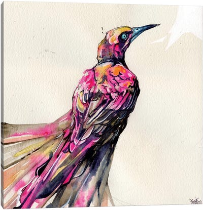 Grackle I Canvas Art Print - Raven Art