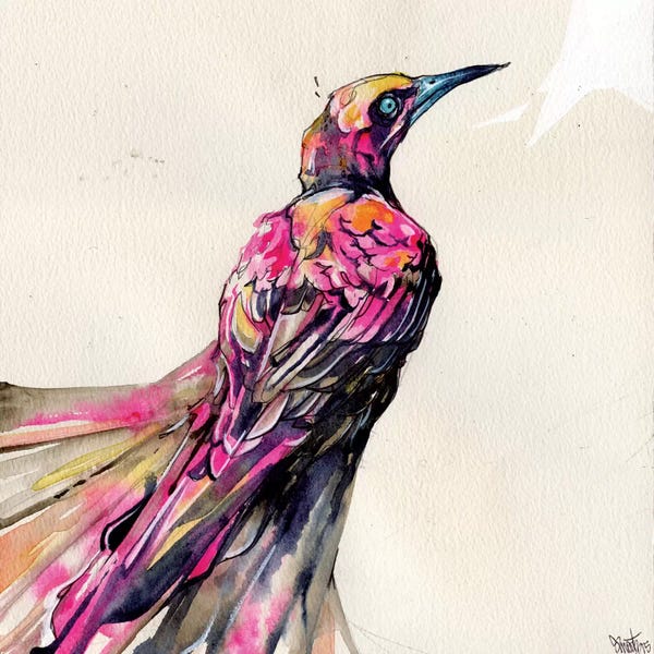 Swartz Brothers Art: Grackle I by Swartz Brothers Art
