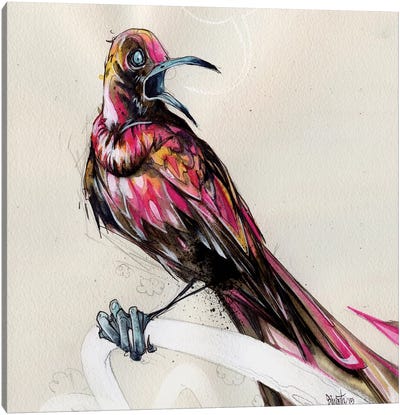 Grackle III Canvas Art Print - Raven Art