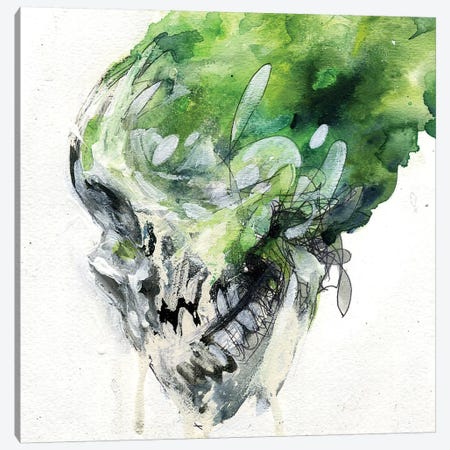 Green Skull Canvas Print #BKT56} by Swartz Brothers Art Canvas Wall Art
