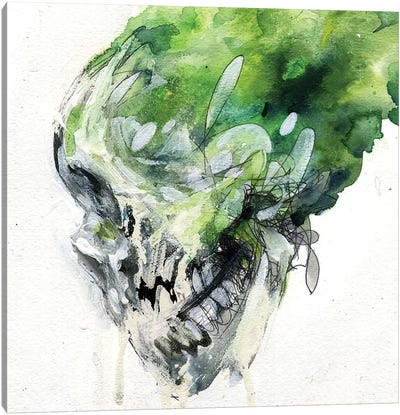 Green Skull Canvas Art Print - What "Dark Arts" Await Behind Each Door?