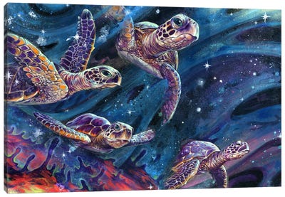 Intershellar Canvas Art Print - Sea Life Art