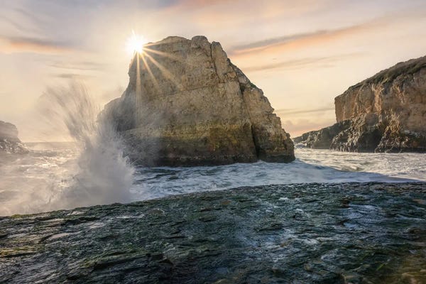 Steve Berkley: Shark Fin Cove by Steve Berkley