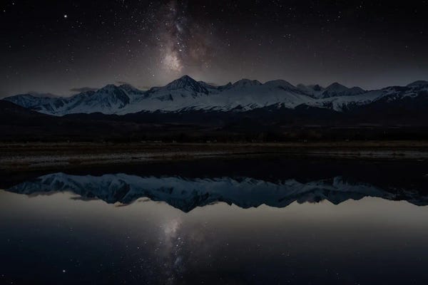 Steve Berkley: Stars at Owens by Steve Berkley