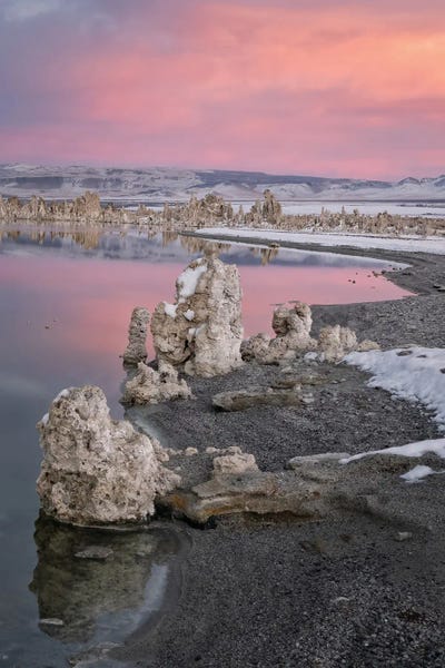 Still Standing III by Steve Berkley canvas print