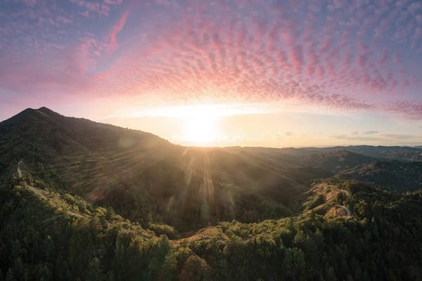 Steve Berkley: Summer Glow II by Steve Berkley