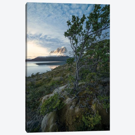 Sunset in the Patagonian Fjords IV Canvas Print #BKY112} by Steve Berkley Canvas Wall Art