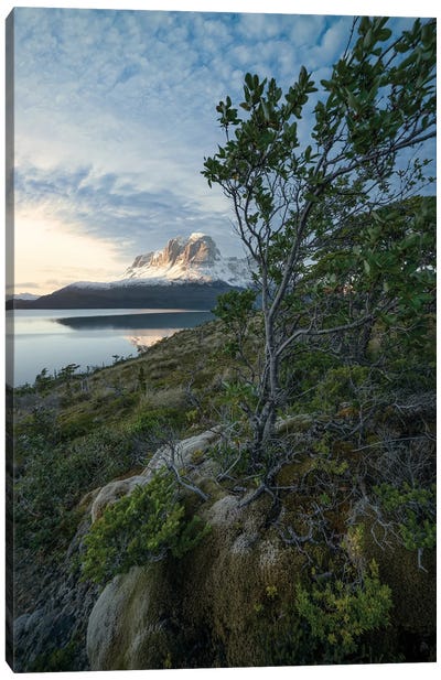 Sunset in the Patagonian Fjords IV Canvas Art Print - Steve Berkley