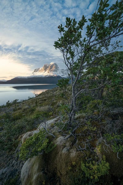 Steve Berkley: Sunset in the Patagonian Fjords IV by Steve Berkley