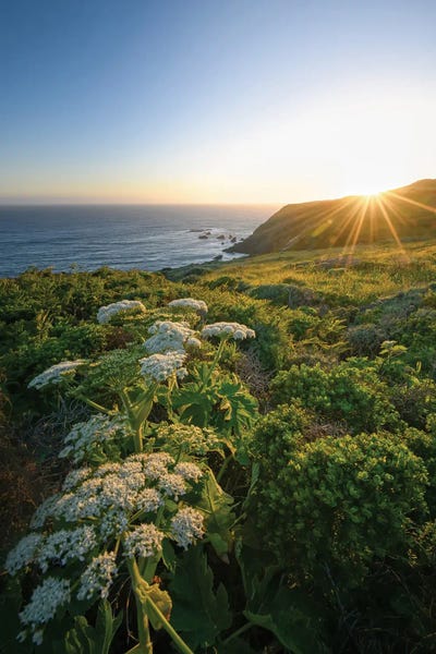 Tennessee Point by Steve Berkley framed wall art