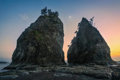 Twins at Rialto by Steve Berkley canvas print