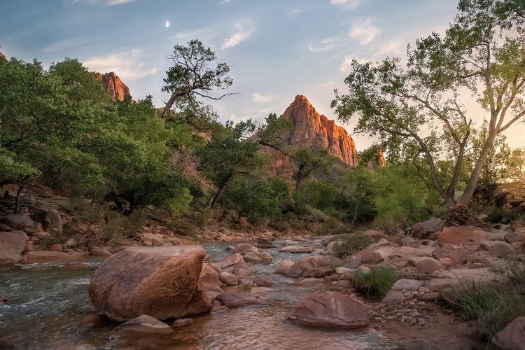 Watchman II