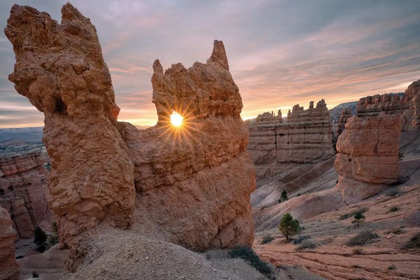 Steve Berkley: Bryce Hoodoos by Steve Berkley